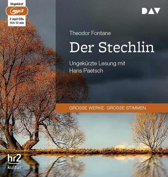 Actual product image The Stechlin (Theodor Fontane, Hans Paetsch, German)