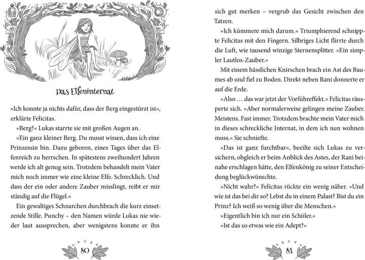 Actual product image Flüsterwald - Das Abenteuer beginnt (German, Andreas Suchanek, 2020)