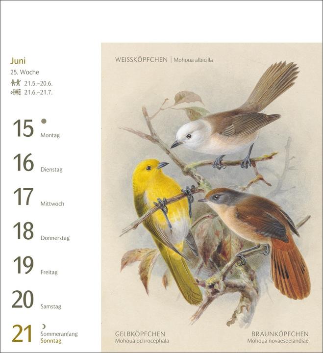 Produktbild Harenberg Vögel Postkartenkalender 2026 - Postkartenkalender mit 53 historischen Zeichnungen (Harter Einband, Deutsch)