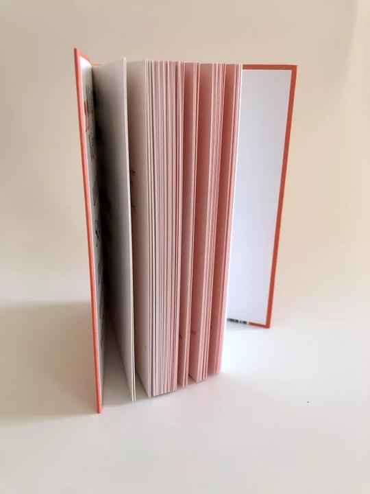 Actual product image Die Kraft des Staunens (German, David Steindl-Rast, 2022)