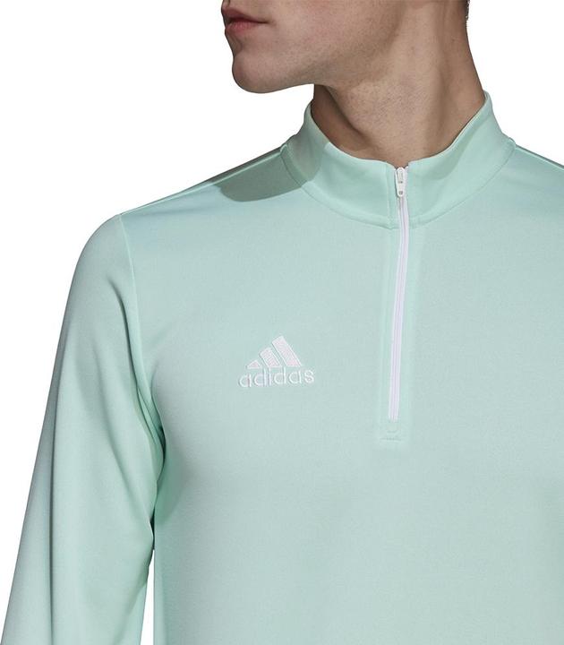 Actual product image adidas Entrada 22 training jumper men (L)