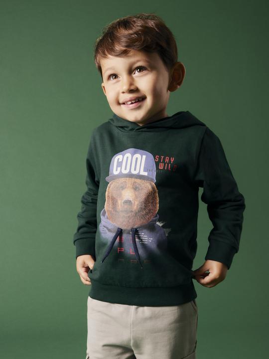 Produktbild Name it Regular Fit Hoodie (92)