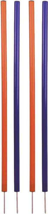 Actual product image Pet Toys Dog Slalom Set (Agility)