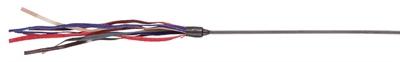 Actual product image Trixie Toy stick with leather thong (Play fishing rod cat)