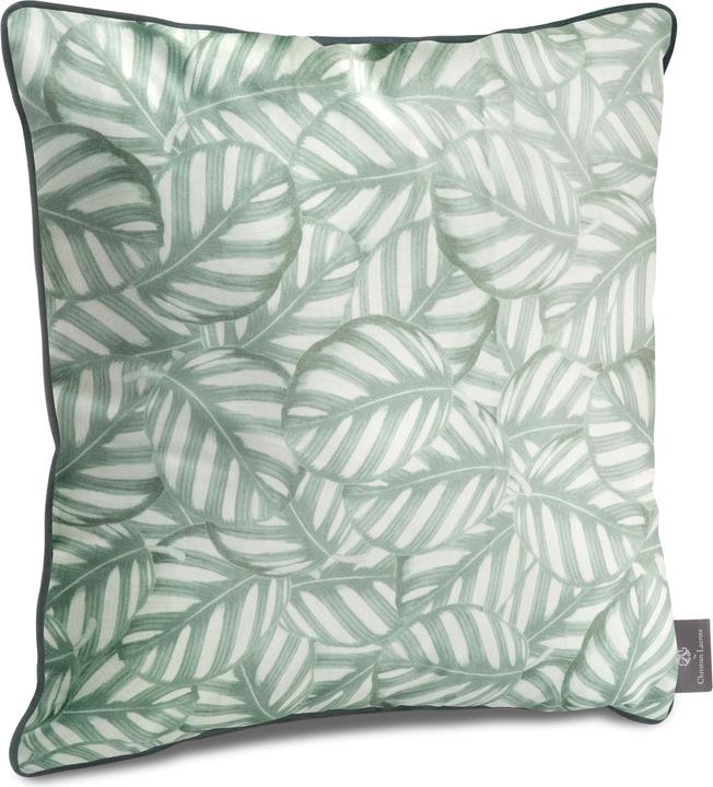 Productafbeelding CXL by Christian Lacroix Bladeren (50 x 50 x 14 cm)