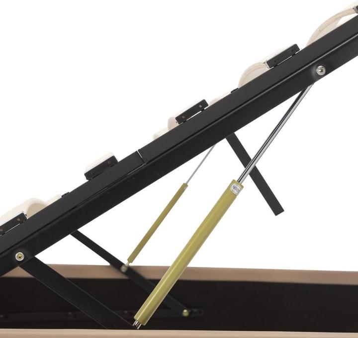 Immagine prodotto VidaXL Bine (90 x 200 cm)