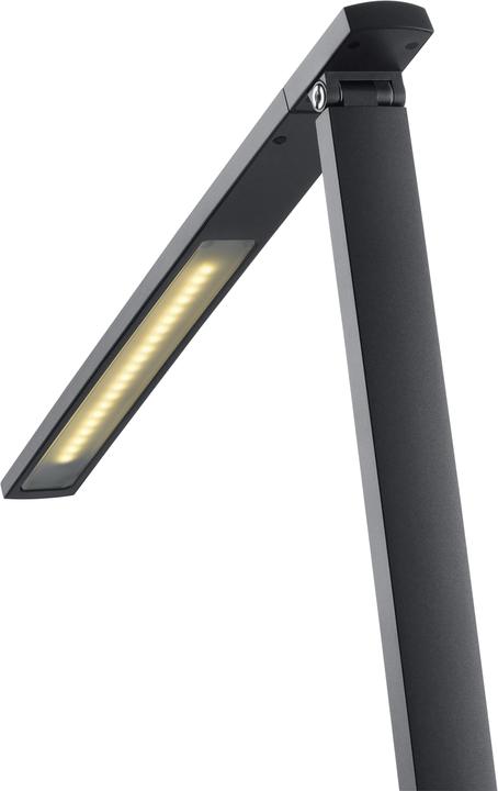 Actual product image Hansa Vario Plus (741 lm)
