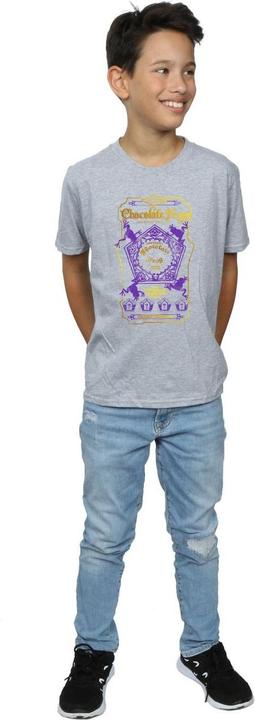 Actual product image Boys Chocolate Frogs Coloured Label T-Shirt (152, 158)