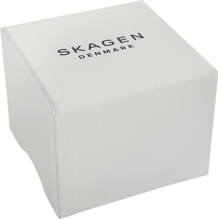 Image du produit Skagen Signature (Montre analogique, 40 mm)