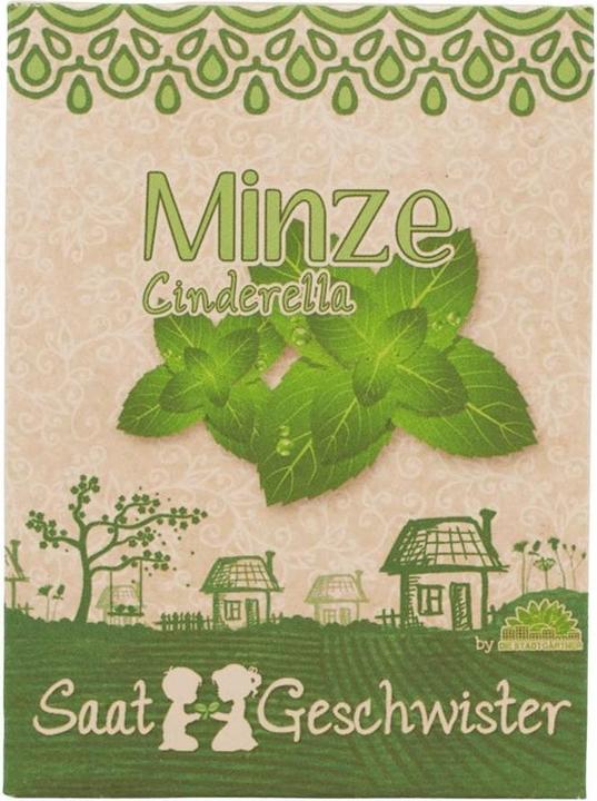 Saatgeschwister Minigarten Minze (Kräutersamen)