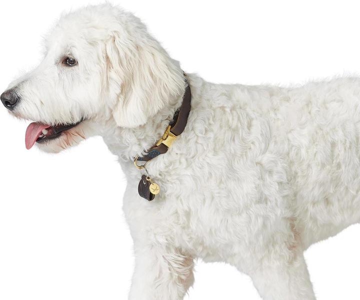 Actual product image Hunter Dog Collar Zanzibar (40, 41, 42, 43, 44, 45, 46, 47, 48, 49, 50, 52, 54, Dog, General)