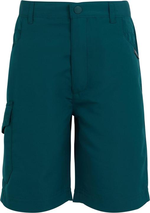 Regatta Sorcer II Shorts