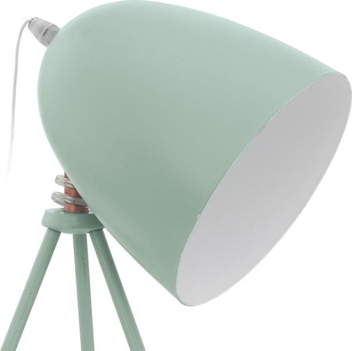 Actual product image EGLO Dundee (E27)