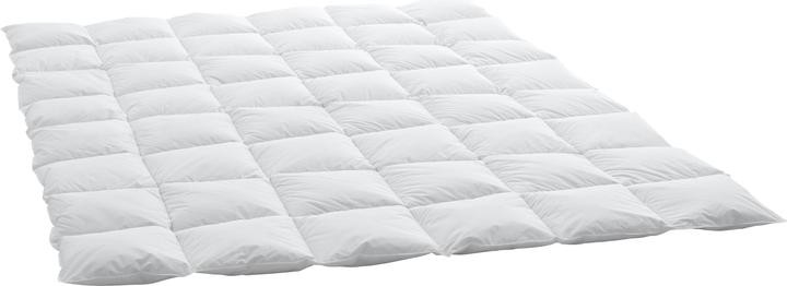 Immagine prodotto Swiss Dream by billerbeck Cassetta media (1110 g, 240 x 240 cm)