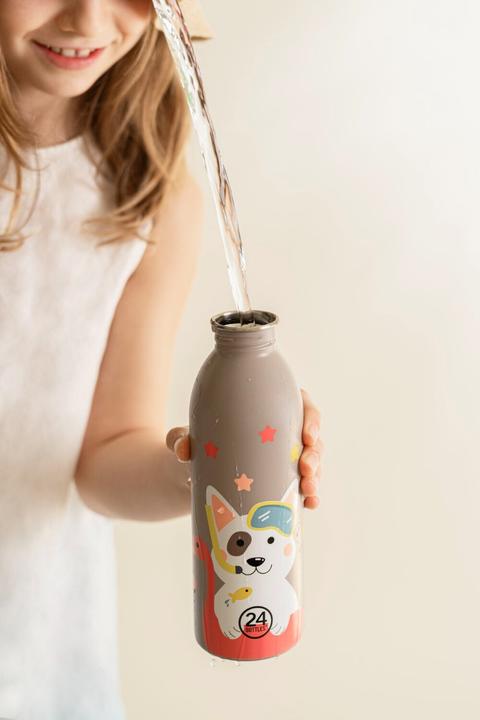 Actual product image 24 Bottles Lucky Dog (0.50 l)