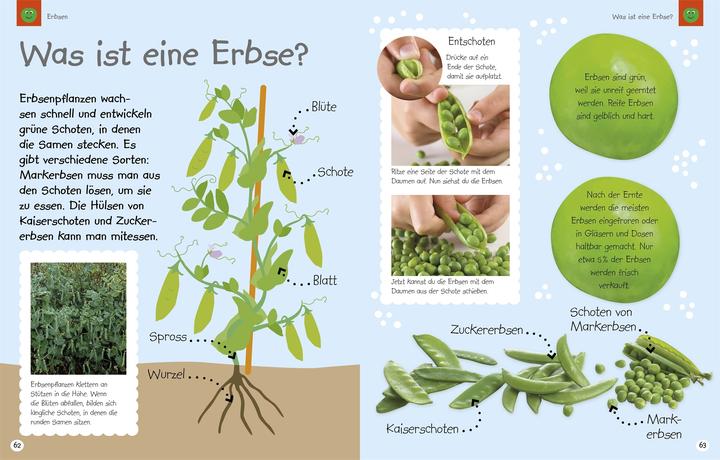 Image du produit Leckerschmecker Kochentdecker (Allemand, 2016)