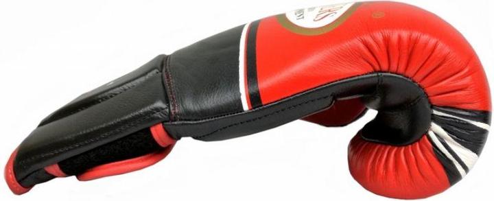 Produktbild Masters Boxhandschuhe