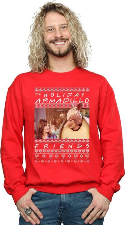 Actual product image Friends Mens Fair Isle Holiday Armadillo Sweatshirt (M)
