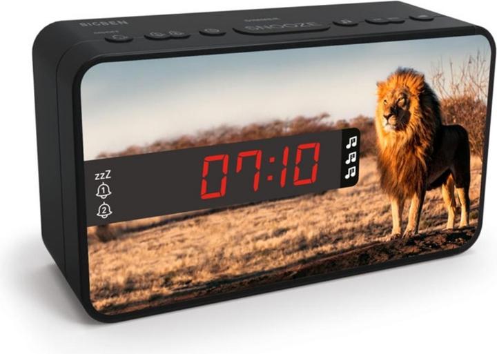 Bigben Safari