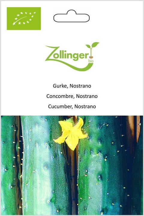 Immagine prodotto Zollinger Bio Cetriolo, Nostrano (Semi di verdura)