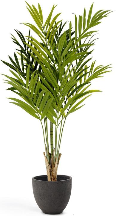 Kave Home Palmera (180 cm)