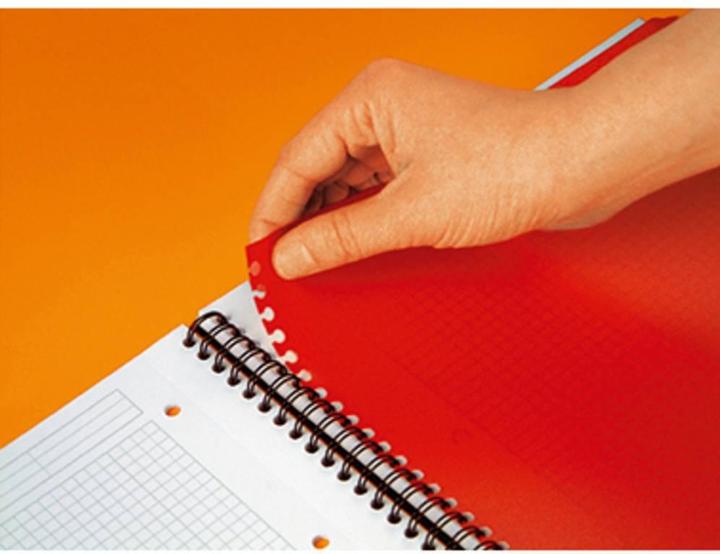 Actual product image Oxford Activebook (A4, Checked, Soft cover)