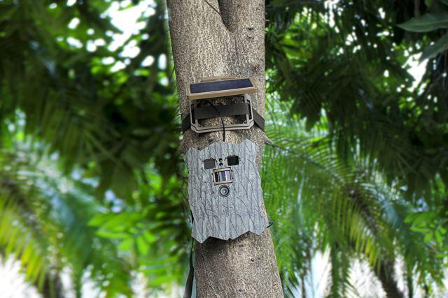 Immagine prodotto Stealth Gear Owl Solar 4K Wifi Wildcamera