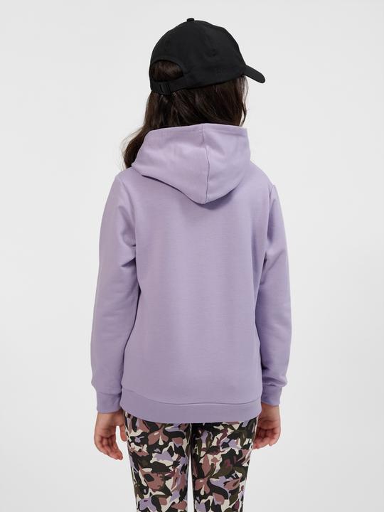 Actual product image hummel hmlCUATRO HOODIE (176)