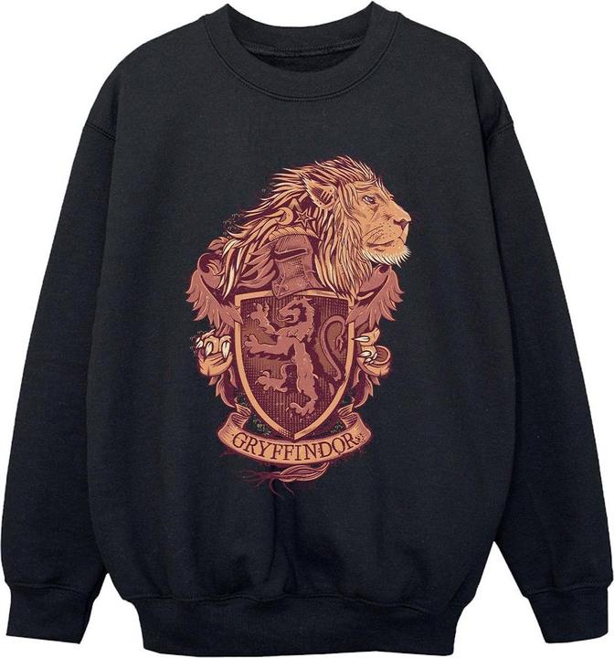 Produktbild Gryffindor Sketch Crest Sweatshirt Jungen (152, 158)