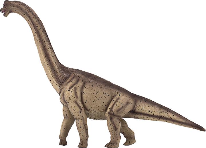 Actual product image small foot Brachiosaurus