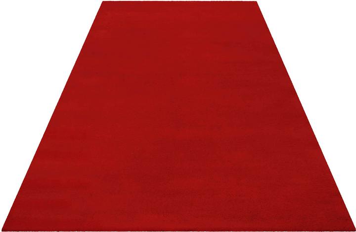 Actual product image Esprit Greenwood Rug (200 x 300 cm)