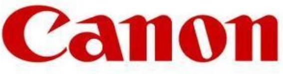 Image du produit Canon Toner T-10L mag. 5K (M)