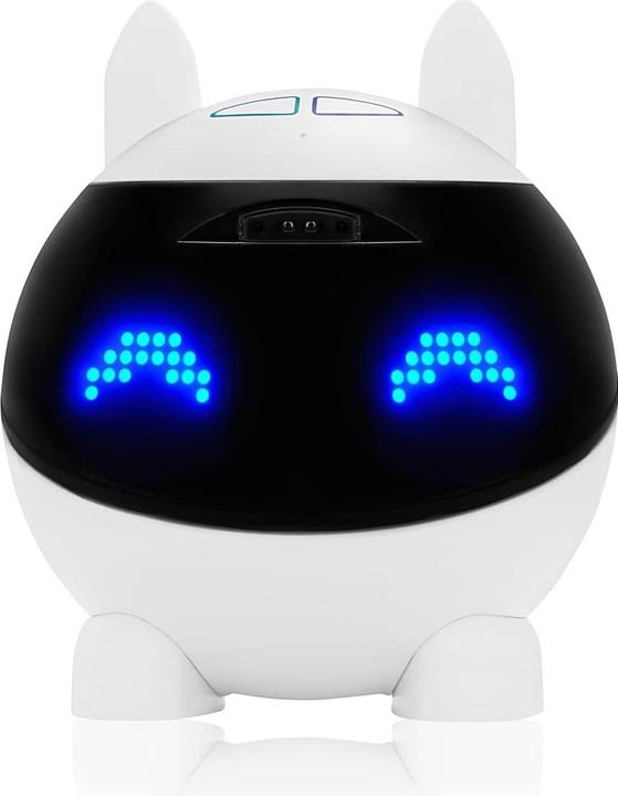 Actual product image Mainbot Robot Winky (French)
