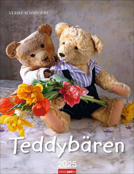 Teddy Bears Calendar 2025 (30 x 39 cm, German)
