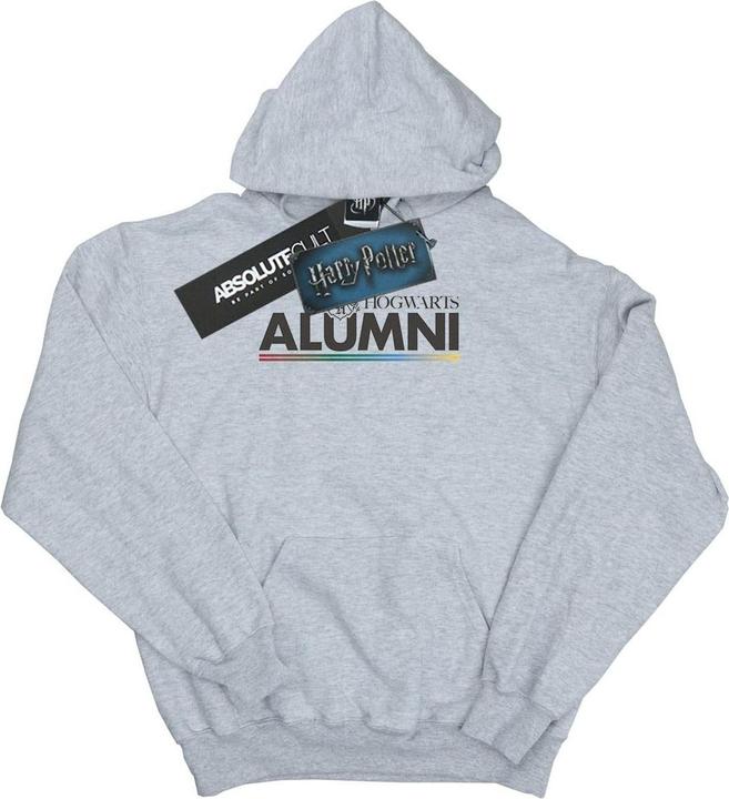 Image du produit - Sweat à capuche HOGWARTS ALUMNI - Homme (S)