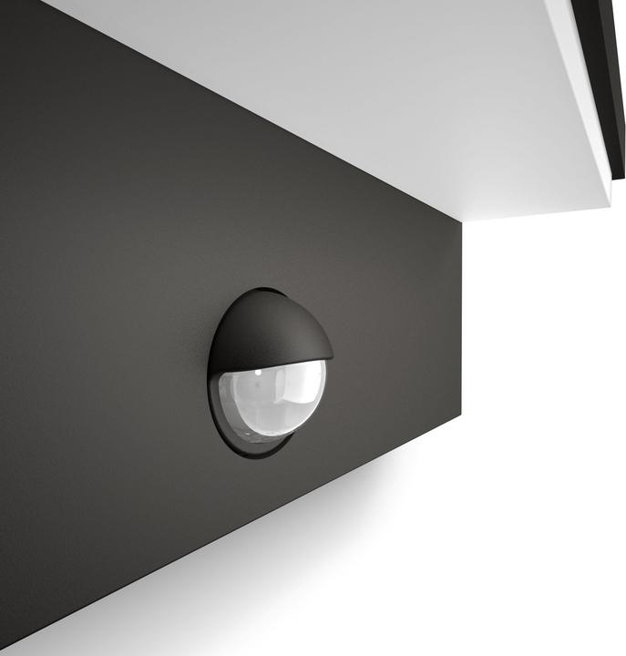 Actual product image Philips Bustan IR (1000 lm)