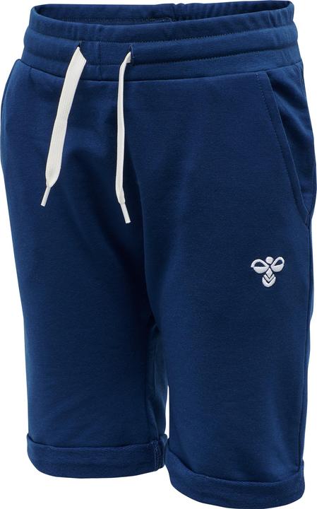 Image du produit hummel Flicker Shorts (116)