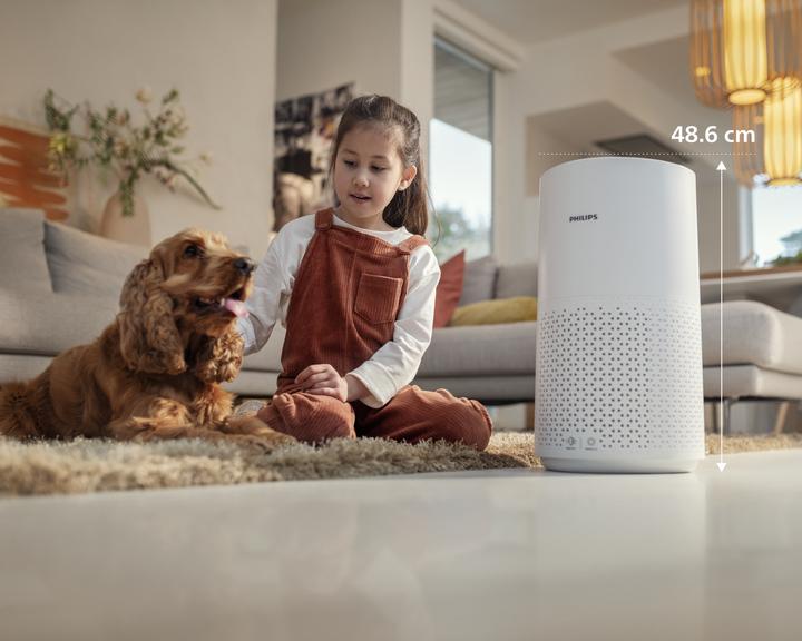 Image du produit Philips AC1711/10 (78 m²)
