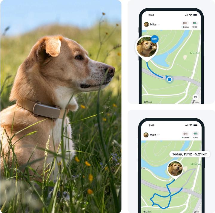 Produktbild Tractive GPS Tracker Dog 6 (Hund)