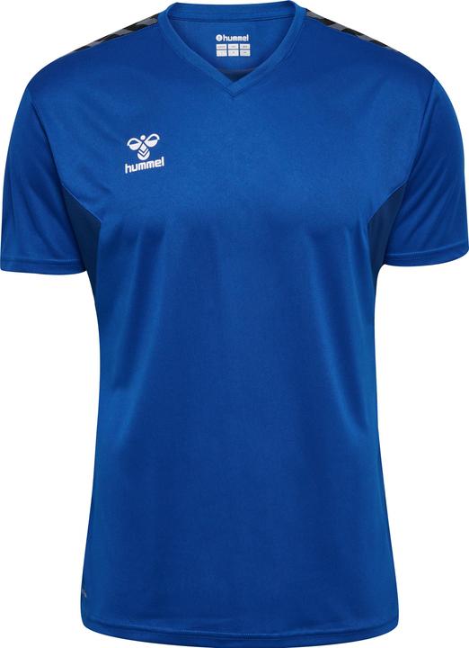 Actual product image hummel Hmlauthentic Pl Jersey S/S (S)