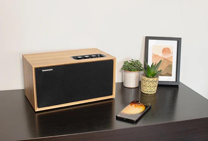 Image du produit Thomson WS502 - Enceinte multimédia compacte - Hout (Fonctionnement sur secteur)