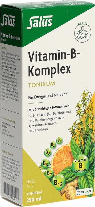 Produktbild Salus Vitamin-B-Komplex (1 Stück, Flüssigkeit, 601 g)