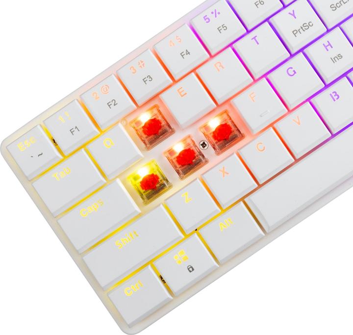Immagine prodotto White Shark GK-006211 Nagamaki White-Mechanical-Red.SW (US, Cablato)