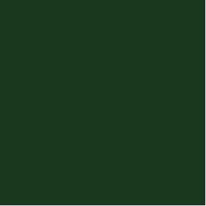 Actual product image Hammerite Protective metal lacquer (750 ml, Dark green)