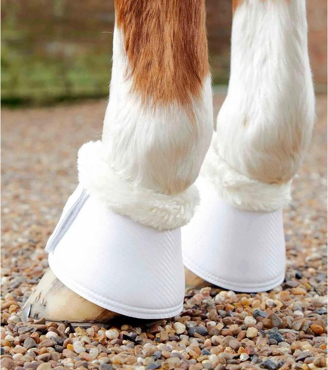 Produktbild Premier Equine Carbon Tech Techno Wool Over Reach