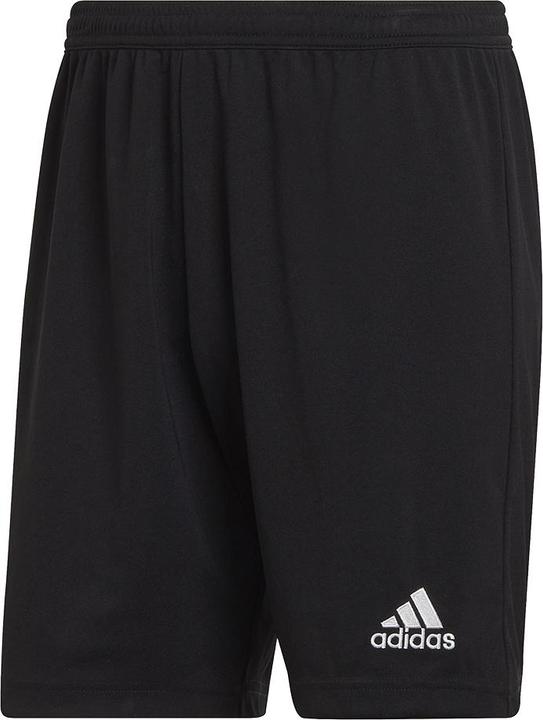adidas Entrada (M)