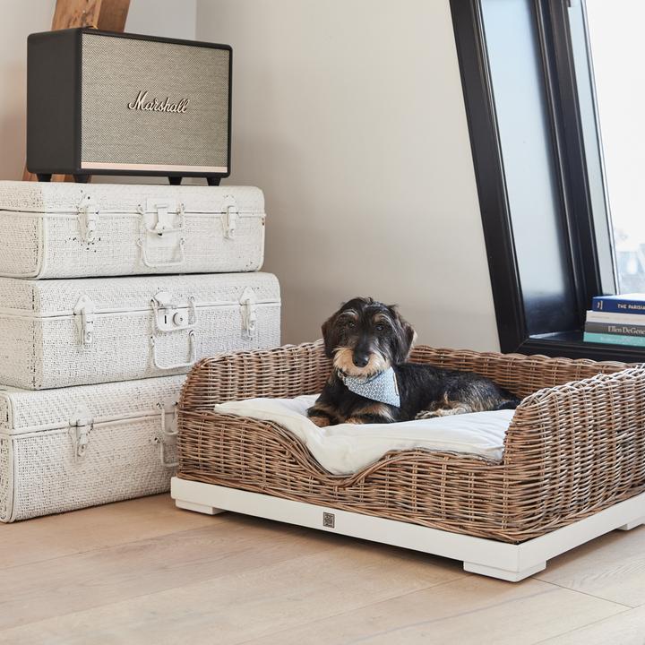 Produktbild Rivièra Maison RR Classic (Hund)