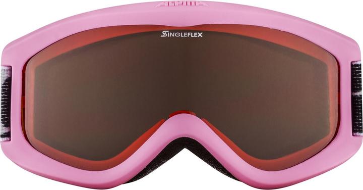 Image du produit ALPINA SPORTS Carvy 2.0