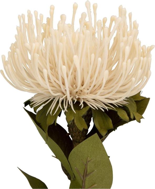 Produktbild present time Protea Flower Large (73.10 cm)