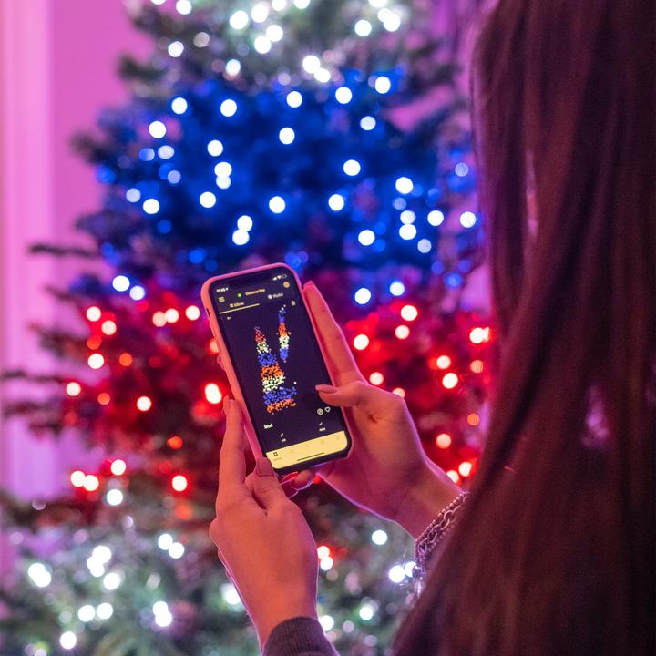 Immagine prodotto Twinkly Albero preilluminato (150 cm)